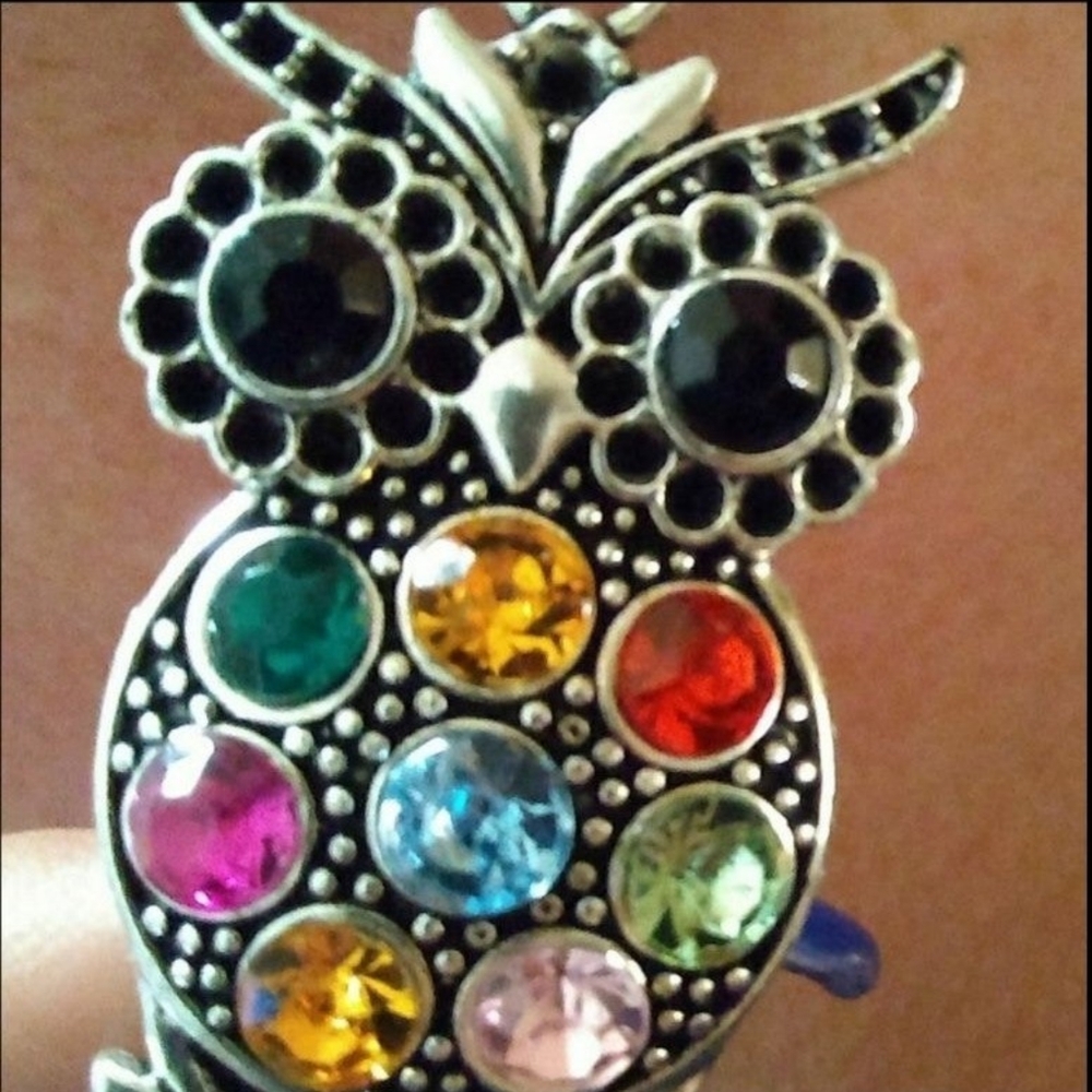 ❣️FREE W.P Rhinestone Owl🦉Dangle Earrings✨ - Picture 7 of 7